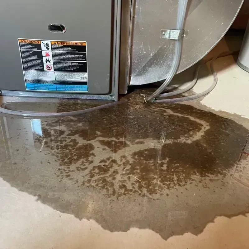 Appliance Leak Cleanup in Haines, AK